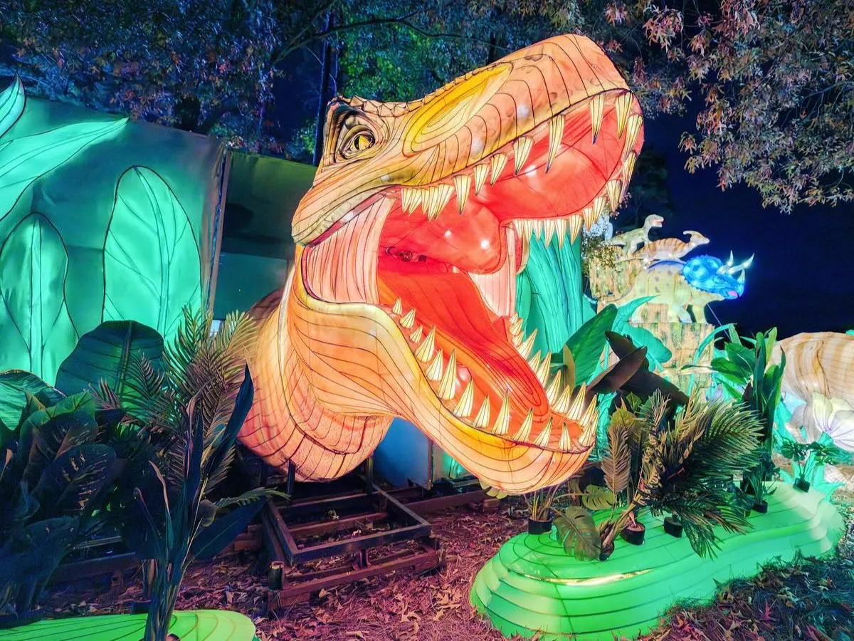 Groups of 20 NC Chinese Lantern Festival